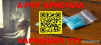 дживик Можга