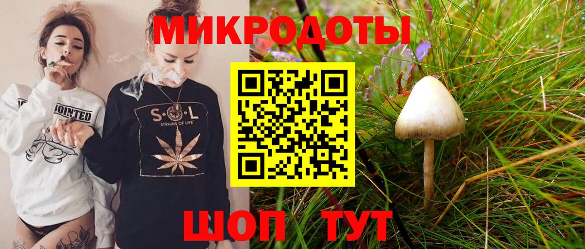 Галлюциногенные грибы Psilocybe  Вход с VPN  Верхняя Пышма  Галлюциногенные грибы Psilocybe 