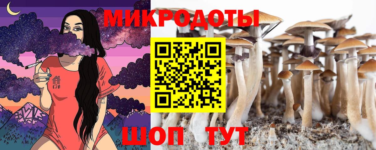 Галлюциногенные грибы Psilocybine cubensis Верхняя Пышма